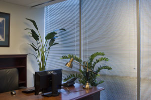 Horizontal-Blinds-40